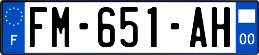 FM-651-AH