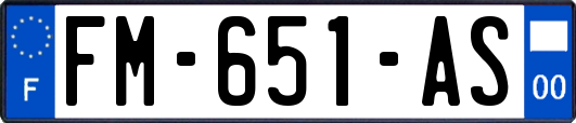 FM-651-AS