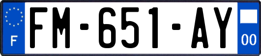 FM-651-AY