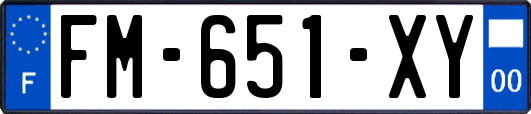 FM-651-XY