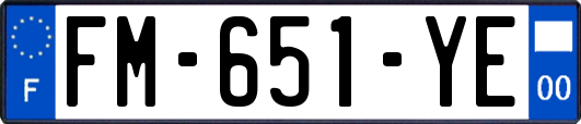 FM-651-YE