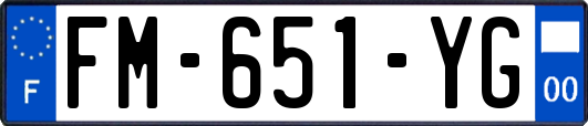 FM-651-YG