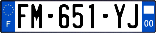 FM-651-YJ