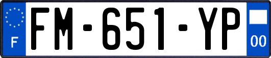 FM-651-YP