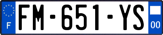 FM-651-YS