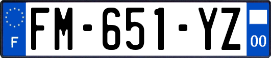 FM-651-YZ