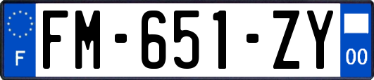 FM-651-ZY