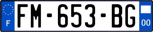FM-653-BG