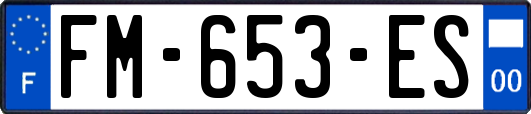 FM-653-ES