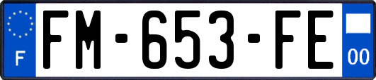 FM-653-FE