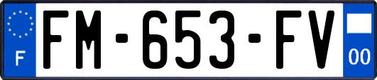 FM-653-FV