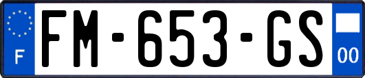 FM-653-GS