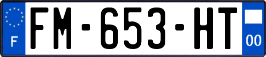 FM-653-HT