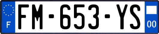 FM-653-YS