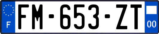 FM-653-ZT