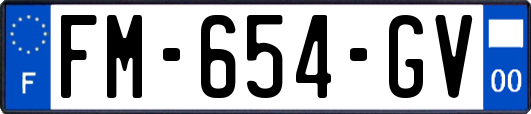 FM-654-GV