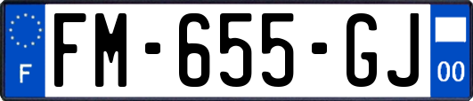 FM-655-GJ