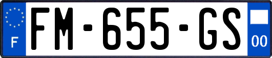 FM-655-GS