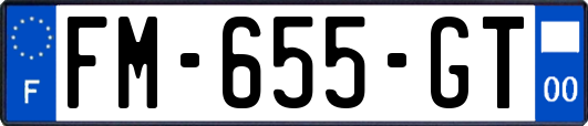 FM-655-GT