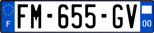 FM-655-GV