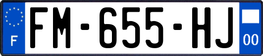 FM-655-HJ