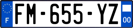 FM-655-YZ
