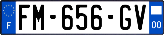 FM-656-GV