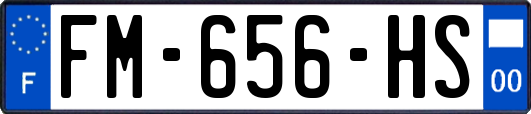 FM-656-HS