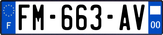 FM-663-AV