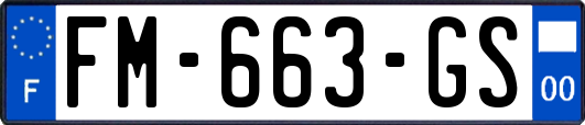FM-663-GS