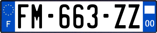 FM-663-ZZ