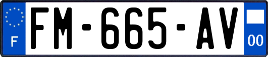 FM-665-AV