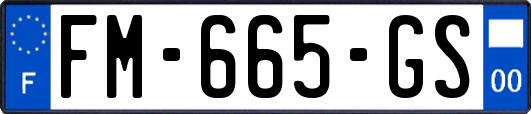 FM-665-GS