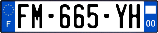FM-665-YH