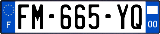 FM-665-YQ