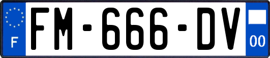 FM-666-DV
