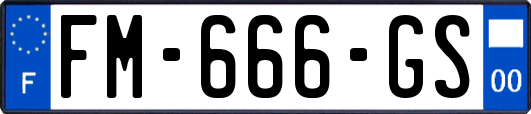 FM-666-GS