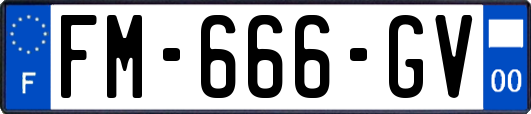 FM-666-GV
