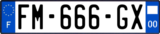 FM-666-GX