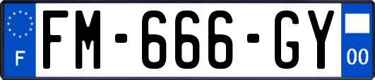 FM-666-GY