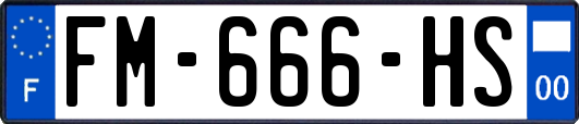FM-666-HS
