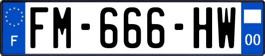 FM-666-HW