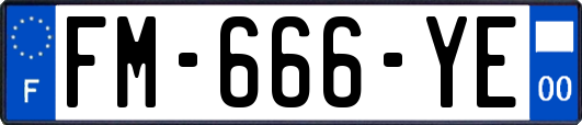 FM-666-YE