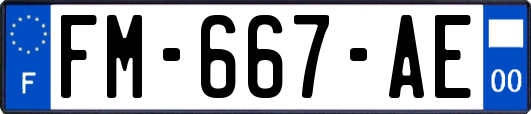 FM-667-AE