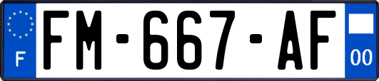 FM-667-AF