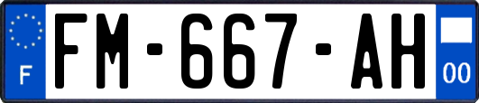 FM-667-AH