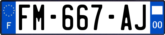 FM-667-AJ