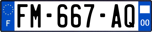 FM-667-AQ