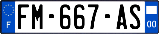 FM-667-AS