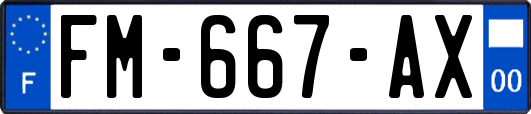 FM-667-AX